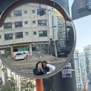 경기도 수원시 영통구 영통로130번길 이미지