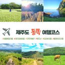 신천리농촌체험휴양마을 | 제주도여행코스 - 동쪽 가을 무료 관광지 추천
