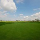 파인스톤컨트리클럽 이미지