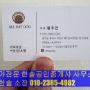 올데이독 이미지