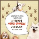달빛펜션 이미지