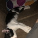 Nap time 😴🥰🥰 이미지