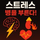 스트레스와 코티솔: 관련 질환(쿠싱·당뇨)과 관리법 총정리 !!! 이미지