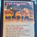 흑돼지삼백식당원주 이미지