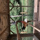 산돌사랑의 집 이미지