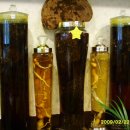 심마니삼계탕 이미지