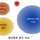 수소수이야기 이미지