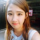 비니케이즈 이미지