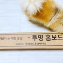 아이손미술학원 | 라피네리빙 벽에 붙이는 투명칠판 집콕놀이 추천해요