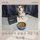 개밥그릇 | 강아지식기 중형견 개밥그릇 독스랩 후기