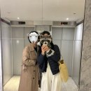 정각마을 | 엄마랑 파리 3(파리 근교 지베르니, 고흐마을, 베르사유 투어 후기)