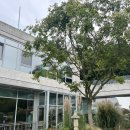 글라스스토리 이천점 | 천안 카페 그림스 카페