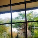 허브 찜질방 이미지