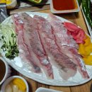수제통한의원 다이닝코드