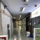 웰킨(일산화정점)