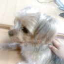 뭉치