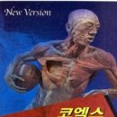 가본 이미지