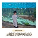 백호체육관 | 부천 아쿠아리움, 웅진 플레이아쿠아리움 31개월 아이와 방문한 후기