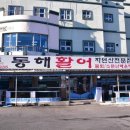 동해활어자연산전문점 | 강원도 고성 막국수 맛집 갔다가 저녁은 동해활어자연산전문점