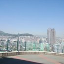 초장중학교 이미지