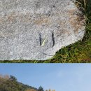 한재골카페드림 이미지