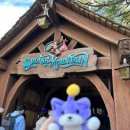 주식회사 스타투어 이미지