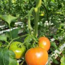 성민농장 이미지