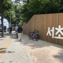 우면산 (서초약수터) | ✅ [우면산 무장애숲길 후기] 서울 도심 속 모두를 위한 힐링 산책로, 직접 걸어봤어요