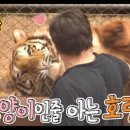 호양농장 이미지