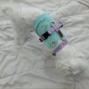 라인H 이미지
