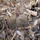 소리마당 이미지