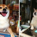 흔한가게 이미지