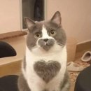 따당PC방 이미지