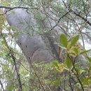 조령산자연휴양림 이미지