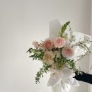 메르세드플라워 이미지
