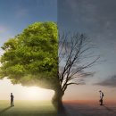 최신 태양광발전소 이미지