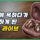홍라이브