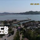 돌고래 좌대낚시터 Daum카페