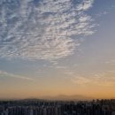 계양구청 앞 횡단보도 이미지