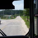 중간상사리 이미지