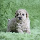 은아농장 이미지