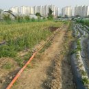 아멘농장 이미지