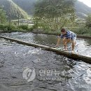 정선아리랑 7080 라이브 이미지