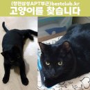 창전 이미지
