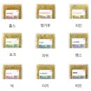 저단38 이미지