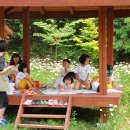 풍향초병설유치원 이미지