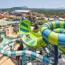 월드헬스타운 이미지