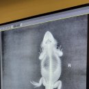 나음동물의료센터 이미지