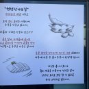 천성산가는길 이미지