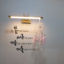 수에스뷰티